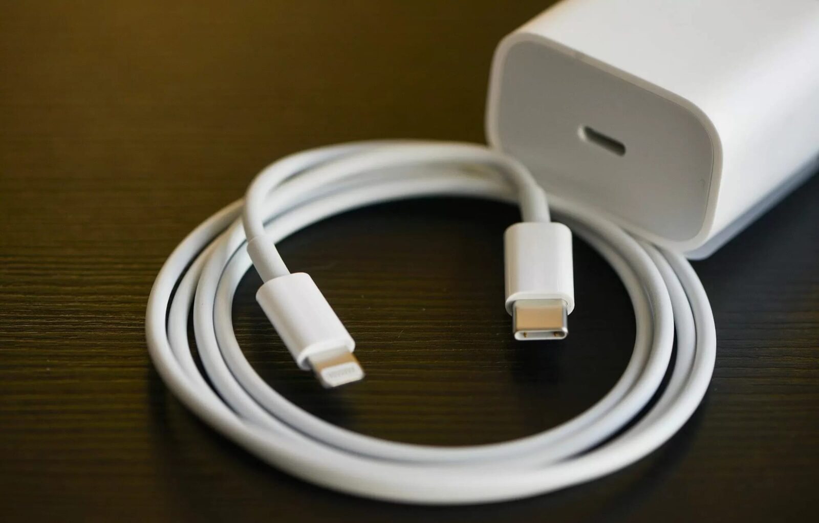 Cargador de iPhone