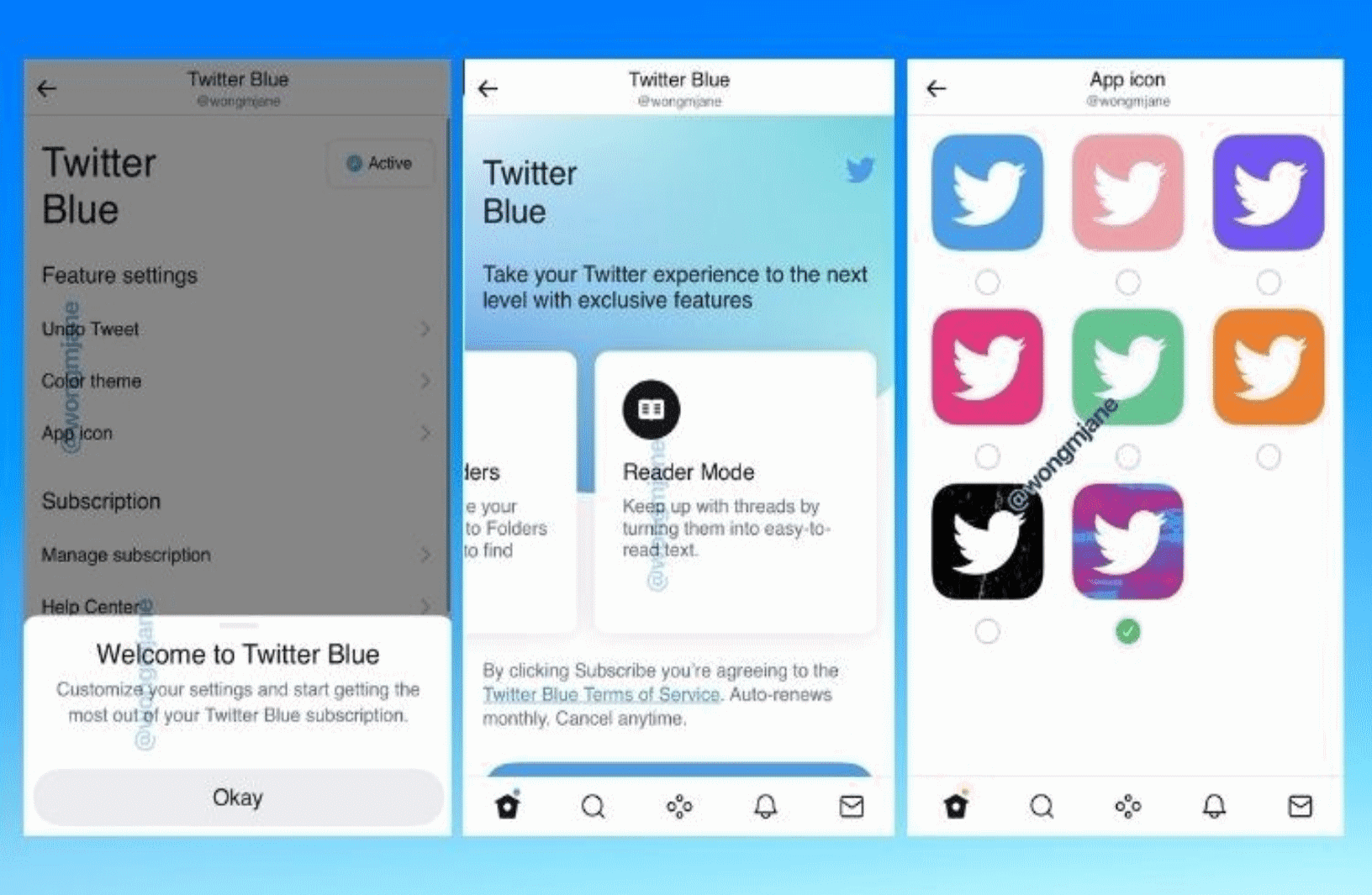 Twitter Blue