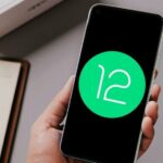 Android 12 Beta 2.1 (Descargar e instalar)