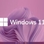 Windows 11