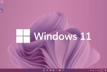 Windows 11