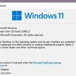 Windows 11