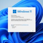 Windows 11