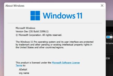 Windows 11