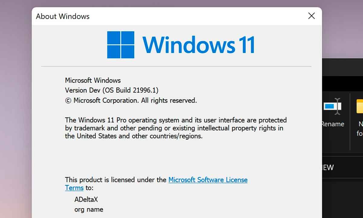 Windows 11