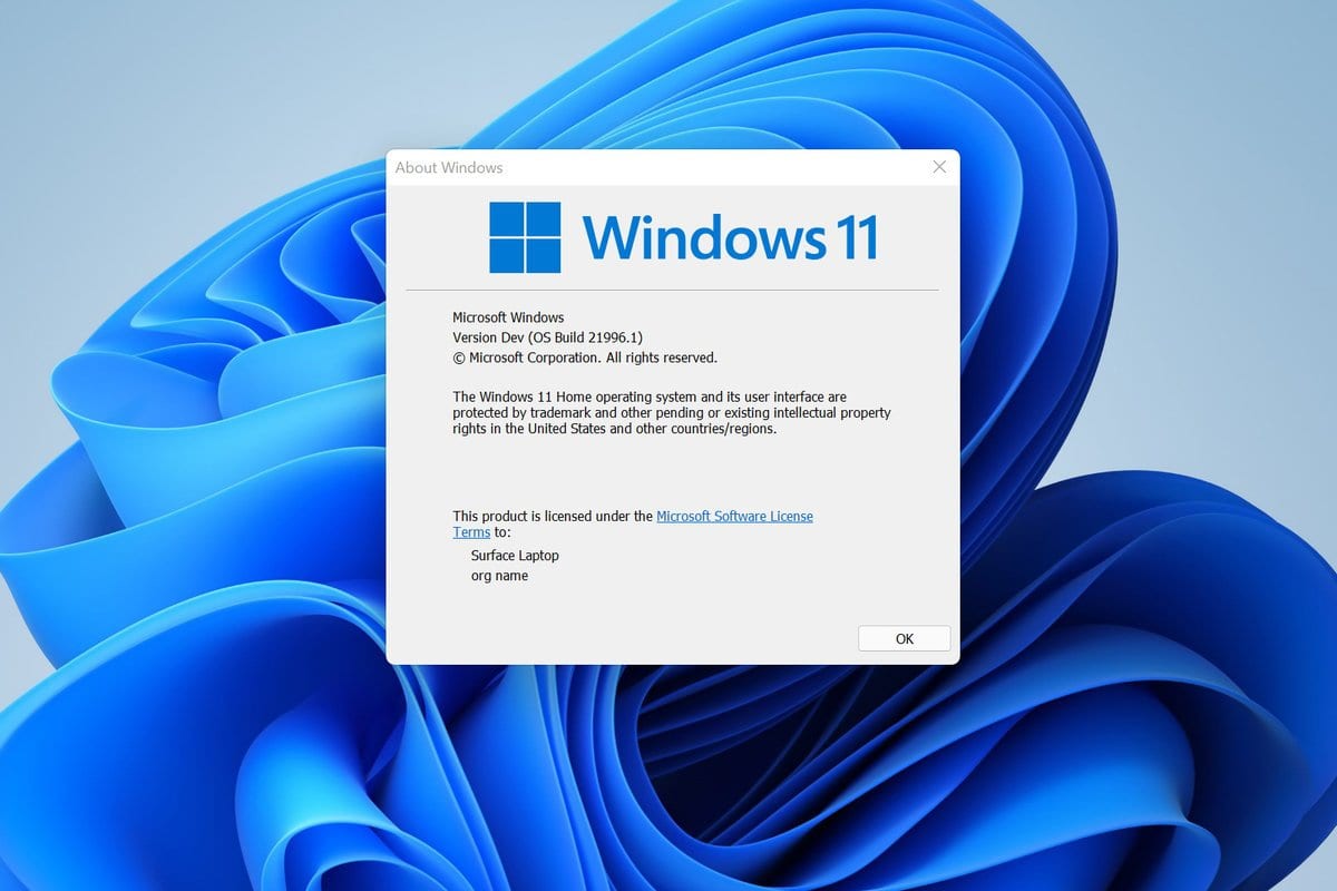 Windows 11
