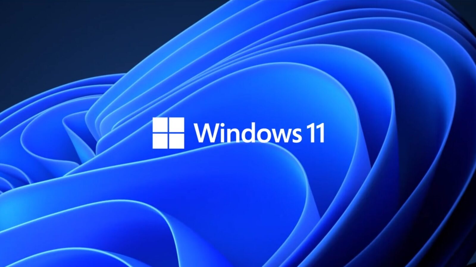 Solución a la pantalla en blanco de Windows Insider