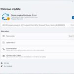 Windows 11