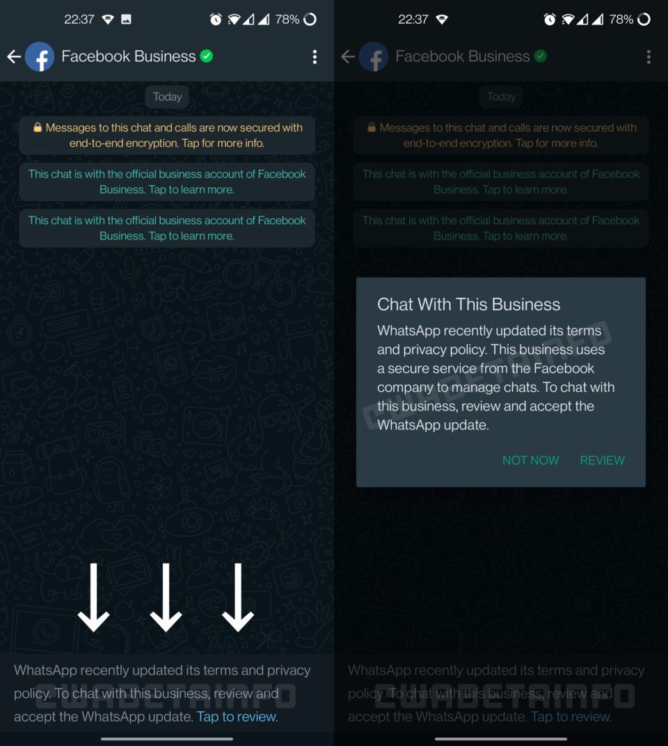 Nuevos términos de uso de WhatsApp