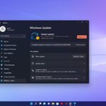 Windows Update