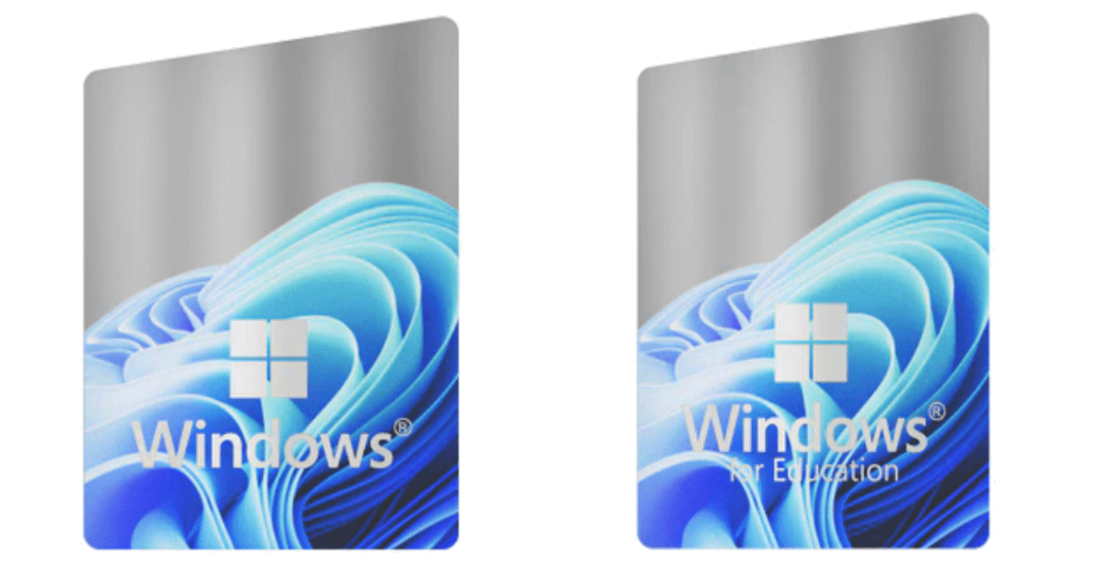 Etiqueta original Windows 11
