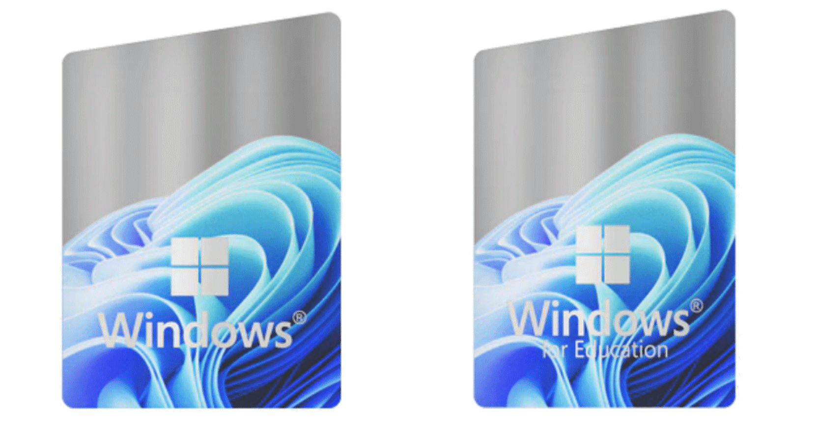 Etiqueta original Windows 11