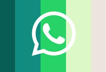 Función Reportar WhatsApp