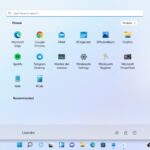 Windowsfx 11 para Linux
