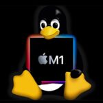 Interfaz Asahi Linux