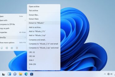 Opciones del Menú contextual de Windows 11