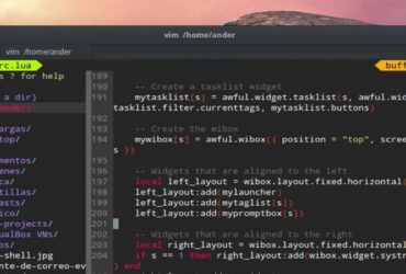 Programar en Linux