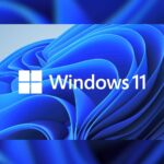 Actualizaciones individuales Windows 11