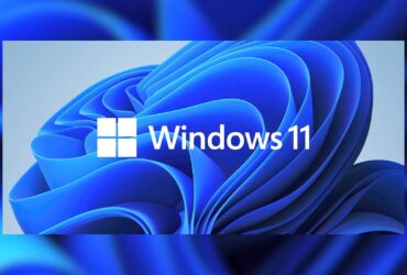 Actualizaciones individuales Windows 11