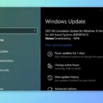 Los Parches de Windows