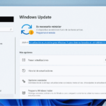 Actualización acumulativa Windows 11 KB5007215
