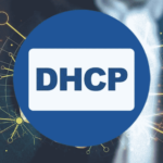 ¿Qué es DHCP?
