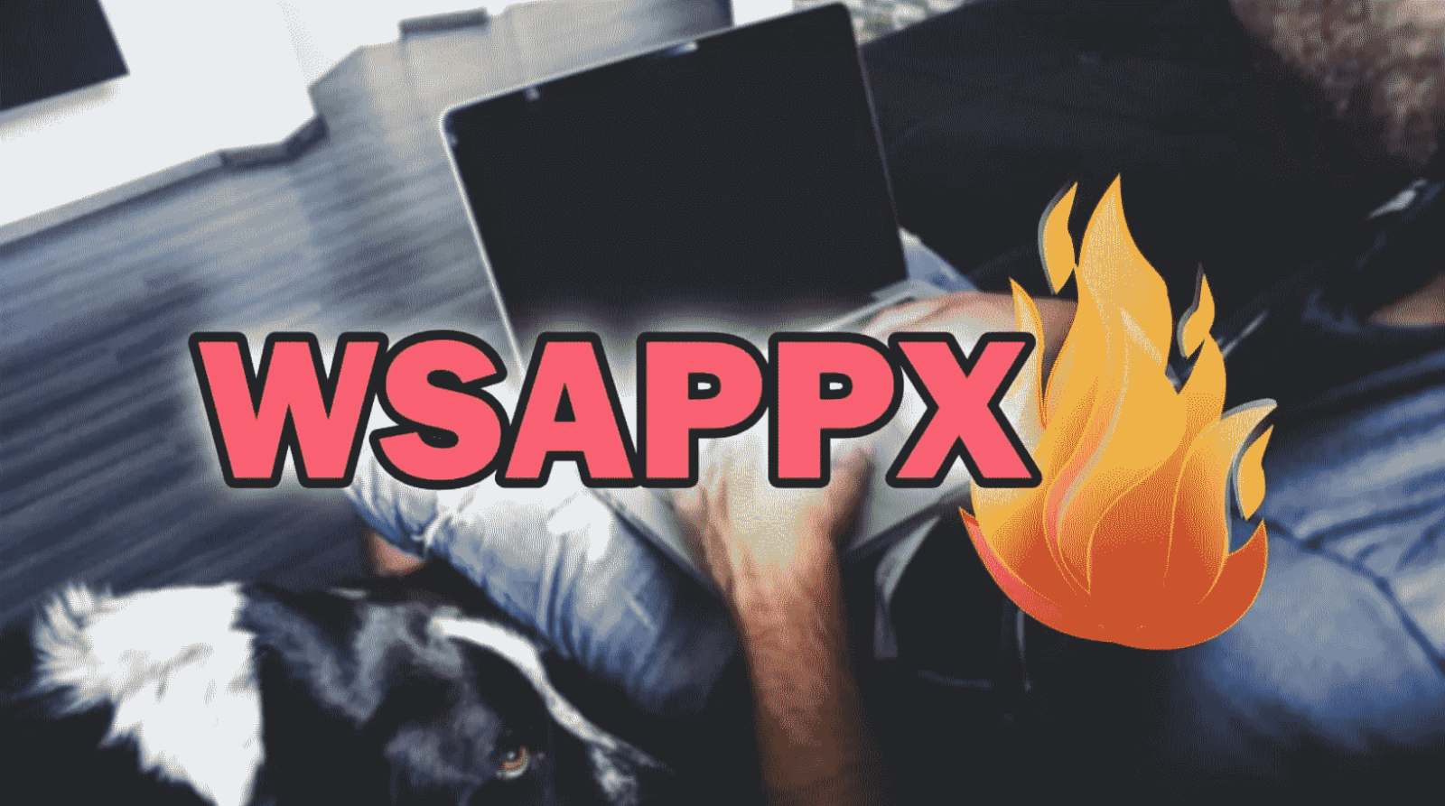 ¿Qué es el proceso Wsappx?