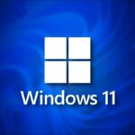 Aplicaciones nativas de Windows 11