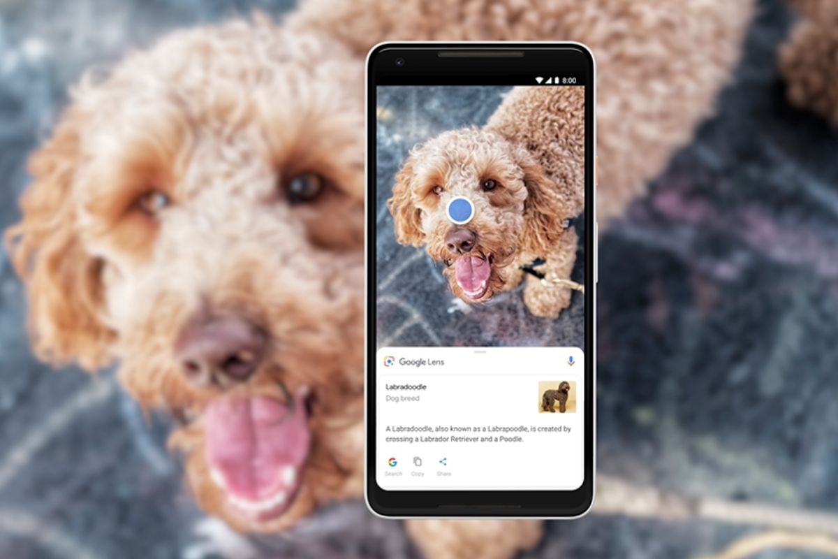 Google Lens