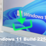 Windows 11 Build 22538