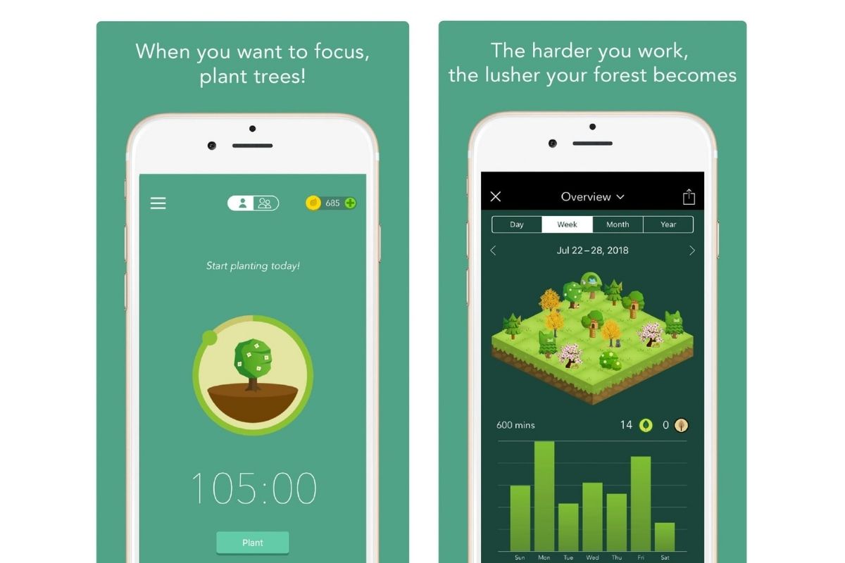 extensiones de google Forest