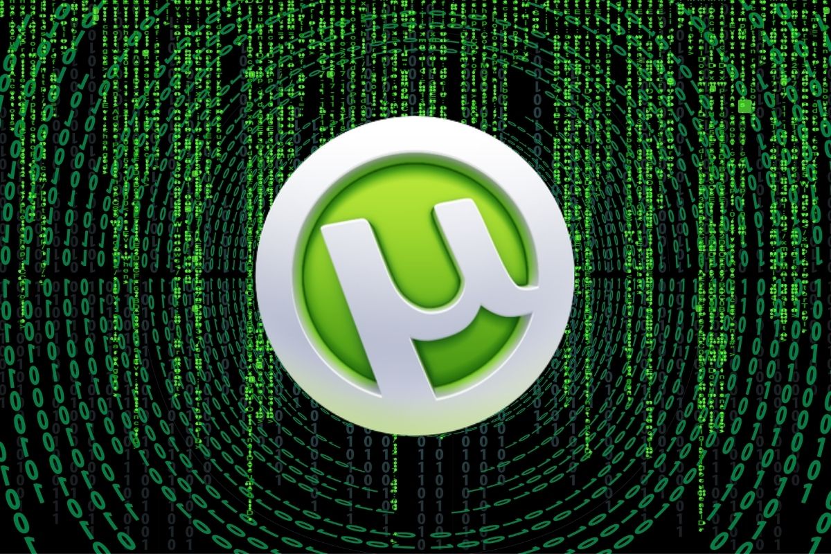 Archivos Torrents