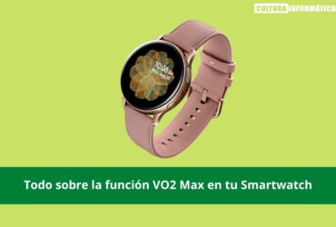 Función VO2 Max