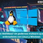 ¿Qué es WellMess?