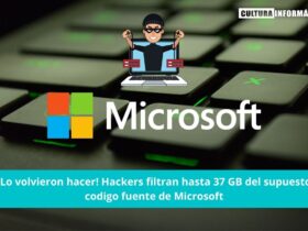 grupo de hackers Lapsus