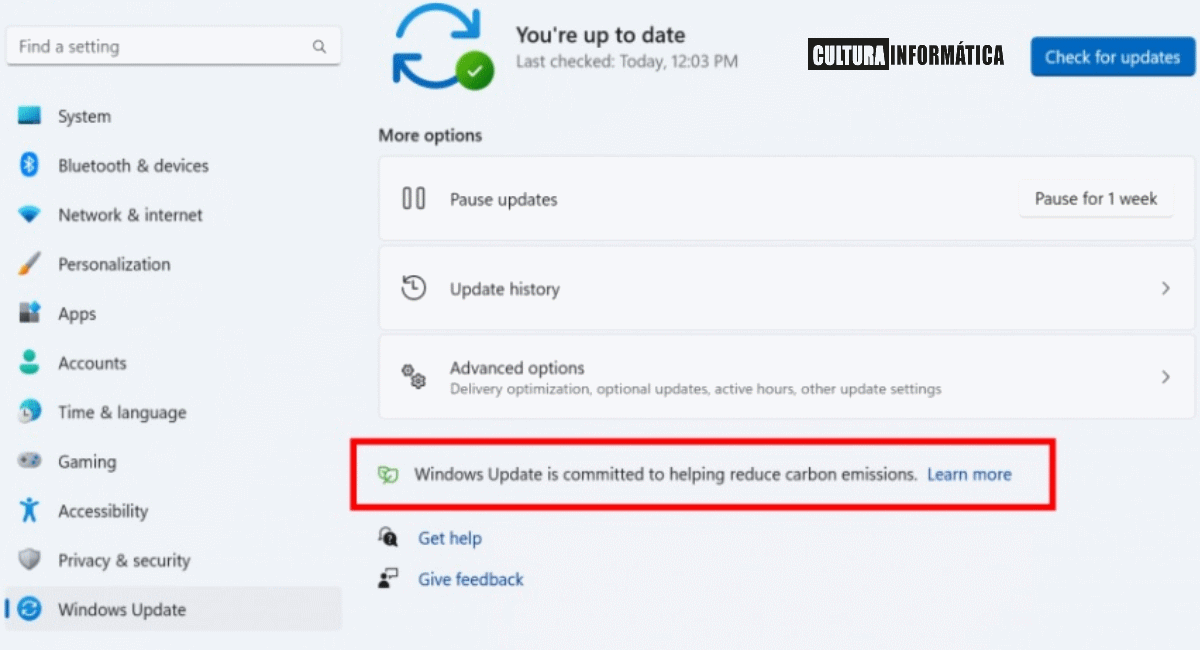 Novedades de Windows 11 Build 22567