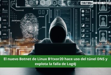Nuevo Botnet de Linux B1txor20