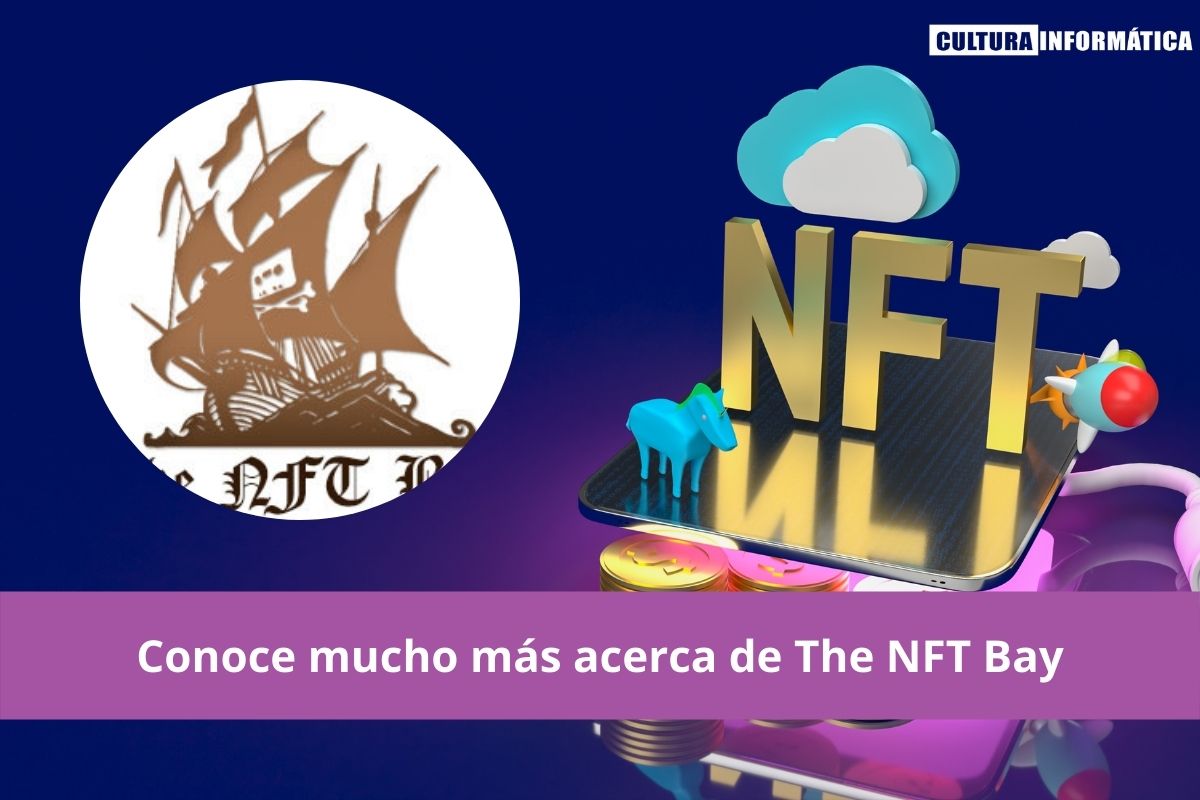 The NTF Bay