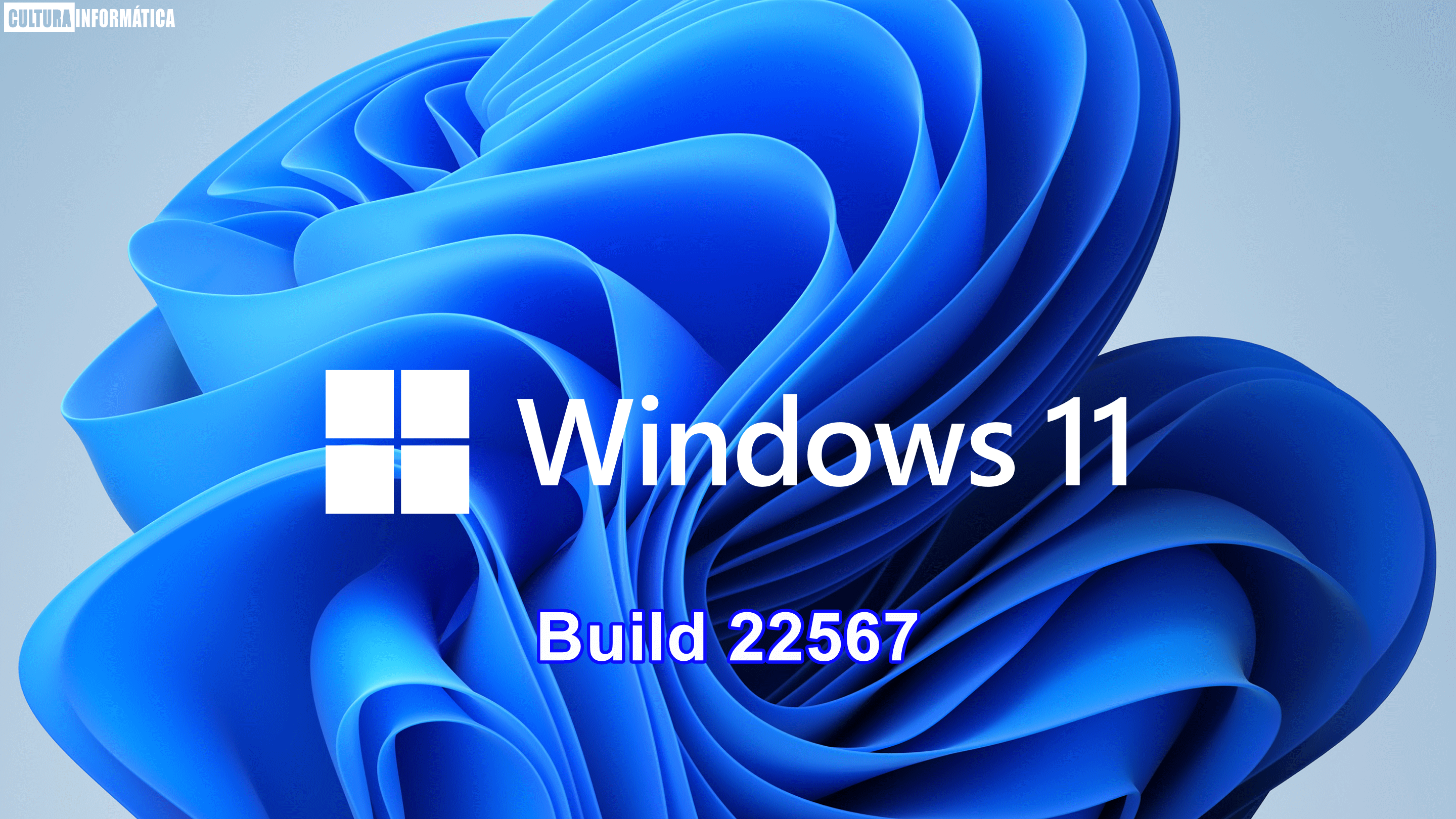 Windows 11 Build 22567