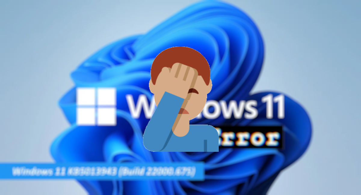 Error Windows 11 KB5013943
