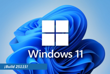 Windows 11 Build 25115