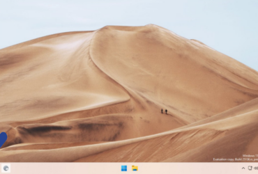 Nuevo widget de búsqueda en Windows 11