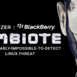 Malware Symbiote