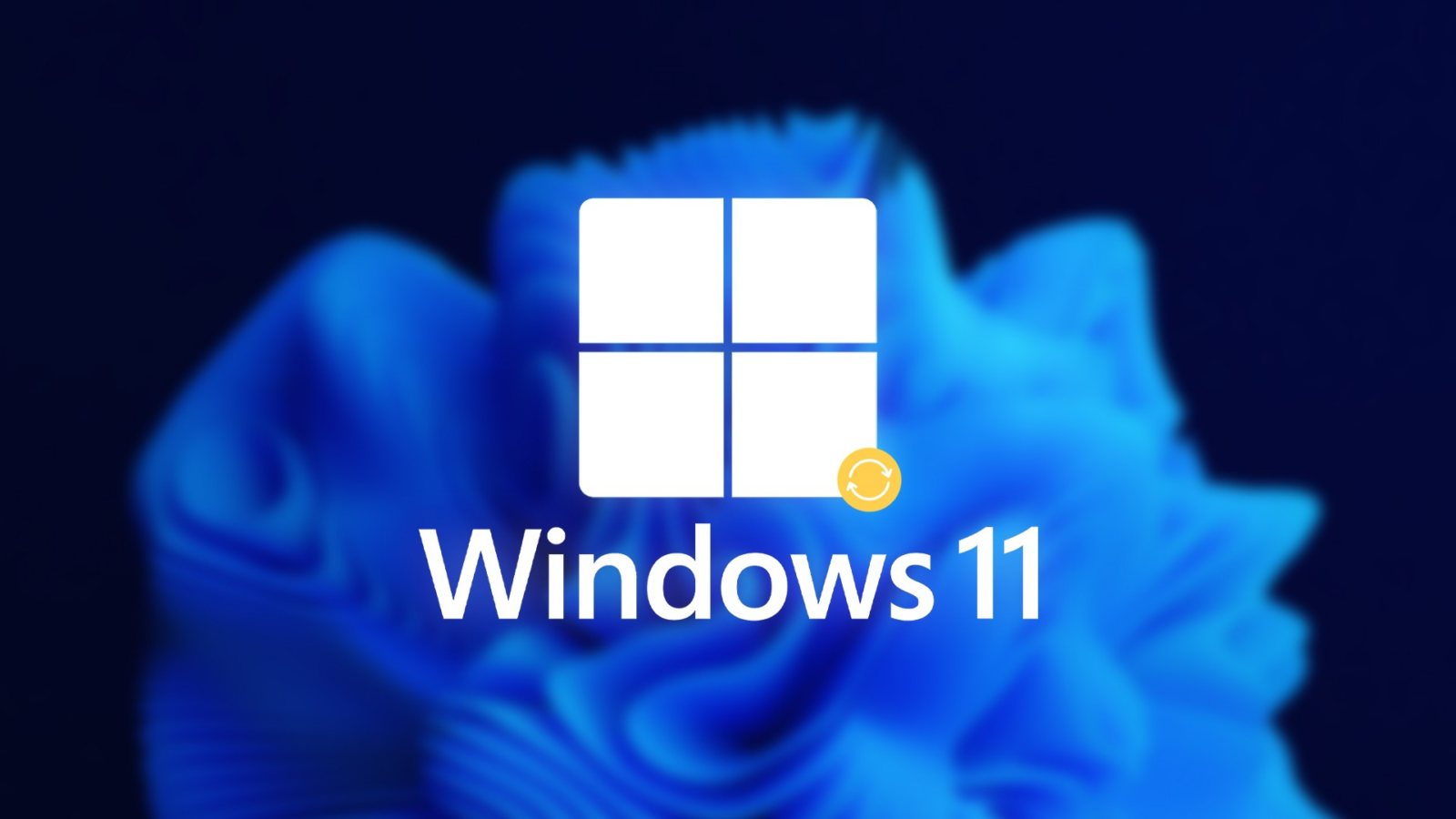 El Canal Beta de Windows 11 se divide en 2