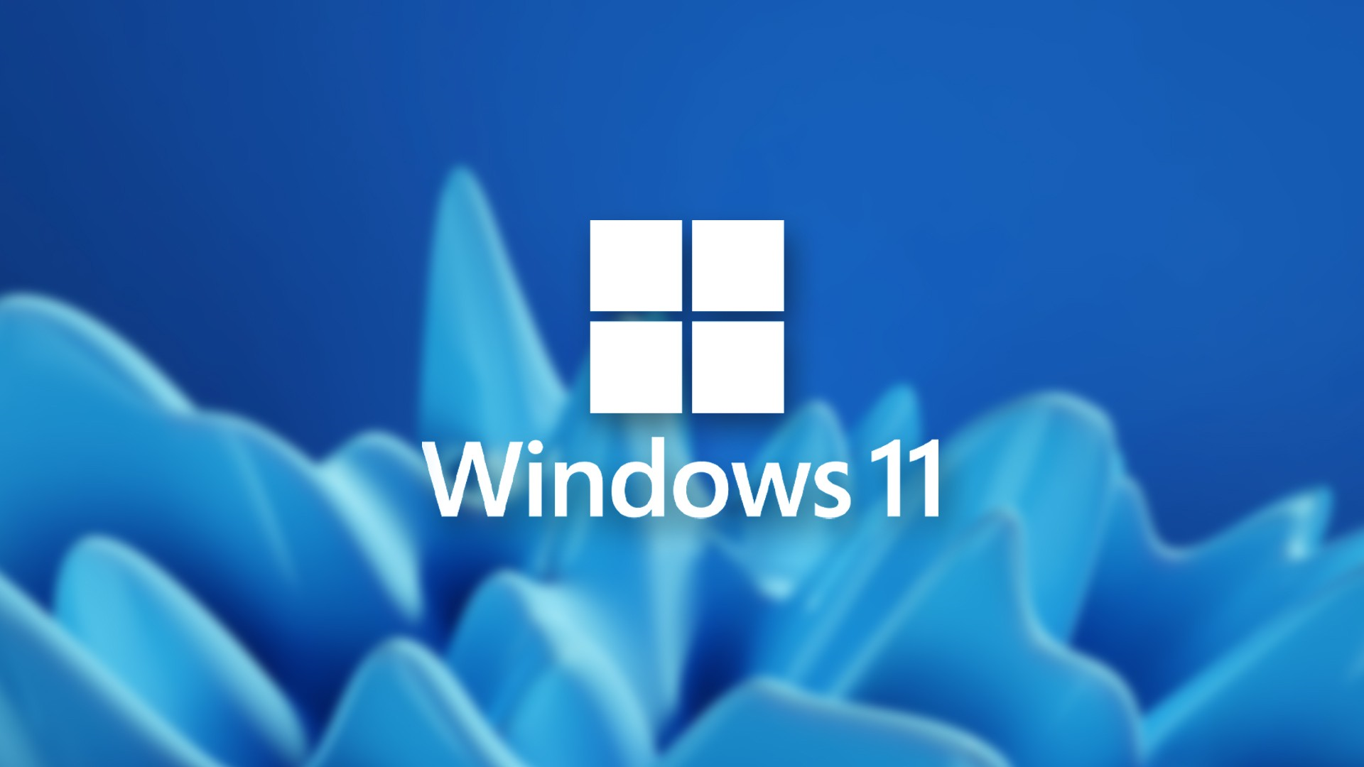 Subsistema Android en Windows 11