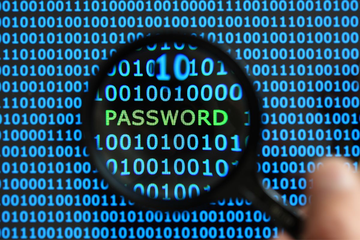 Comprobar tus contraseñas con ayuda de Google Password Check-up