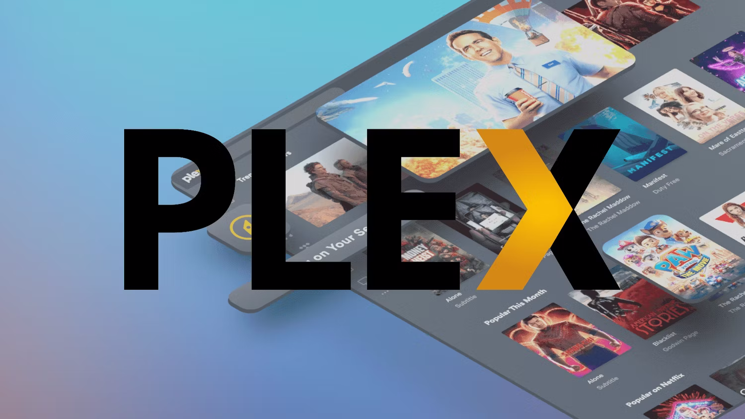 Filtración de datos en Plex