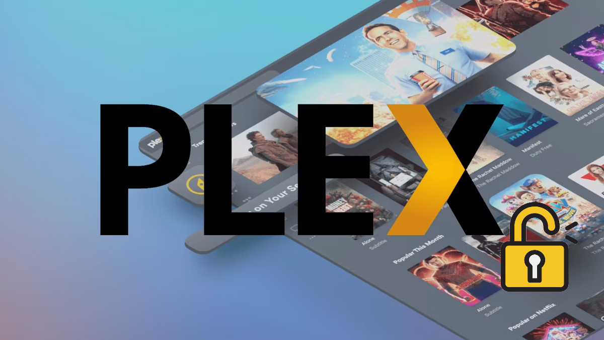 Filtración de datos en Plex