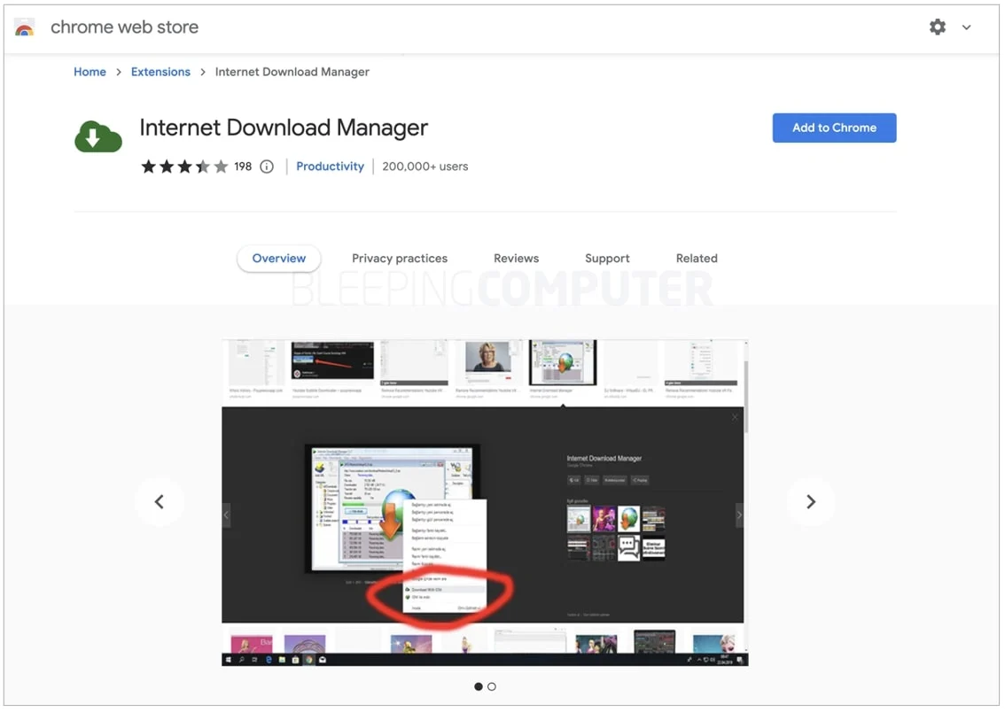 Internet Download Manager