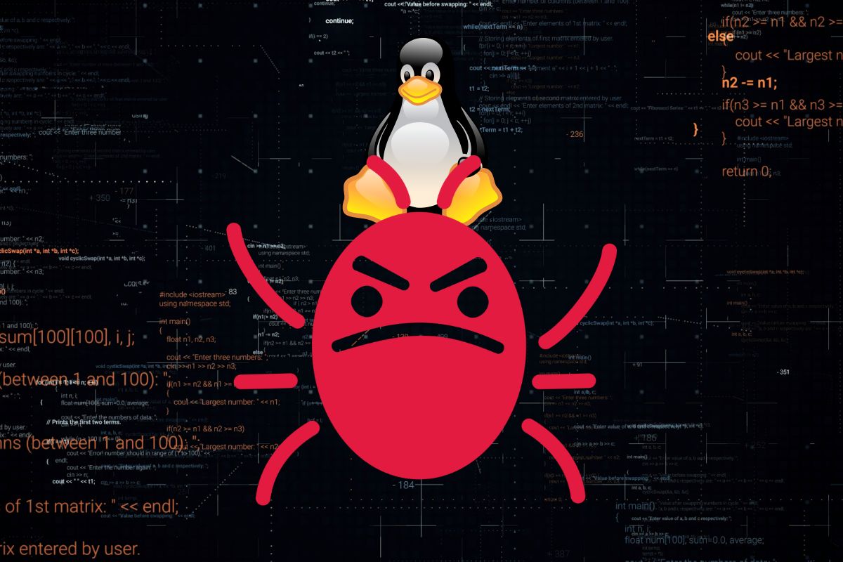 RapperBot en Linux